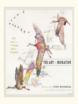 cover image of The Art of Migration